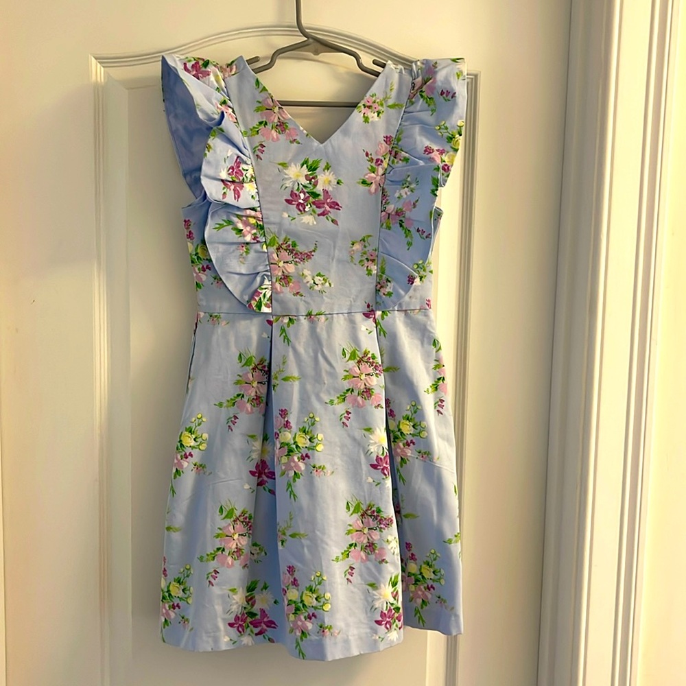 Janie and Jack Girls Light Blue and Purple Floral Cotton Lined Dress Size 10